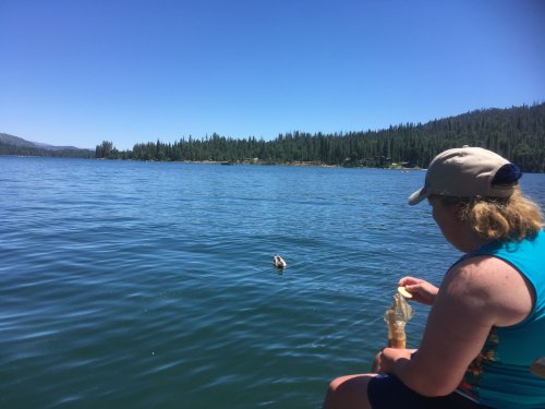 Missy feeding ducks